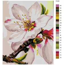 Картина по номерам BRUSHES-PAINTS Цветы R-208 40x50 см