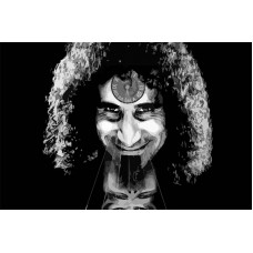 Картина по номерам Бруталити Музыка SOAD System of a down 6353 Г 60x40 см