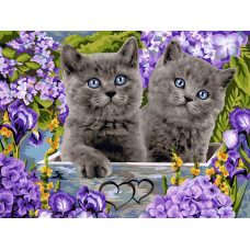 Картина по номерам  Freya  Британские котята  PNB/R2 №65  40 х  30 см