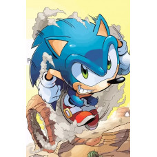 Живопись по номерам Бруталити Игра Соник Sonic Синий Ёж - 7485 В