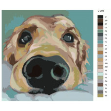 Живопись по номерам BRUSHES-PAINTS Собака Лабрадор