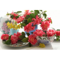 Холст с красками 40*50 см по номерам. КОРАЛЛОВЫЕ ЦВЕТЫ. Арт. Х-4735
