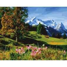 Живопись по номерам Paintboy Горный пейзаж 40x50