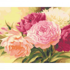 Набор для рисования по номерам "Пионы", 40x50 см, арт. HS0245