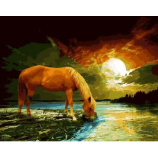 Живопись по номерам Paintboy Лошадь на закате 40x50