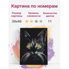 Картина по номерам Раскрасим сами Кот с зелеными глазами на подрамнике 30х40 см Картина по номерам Раскрасим сами Кот с зелеными глазами на подрамнике 30х40 см