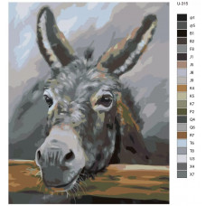 Живопись по номерам BRUSHES-PAINTS Осел