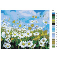 Живопись по номерам BRUSHES-PAINTS Поле ромашек