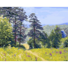 Картина по номерам Цветной По лесной тропинке, 40x50 см