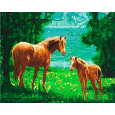 Картина по номерам Paintboy Жеребенок с мамой, 30x40 см