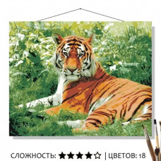 Живопись по номерам selfica Тигр