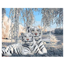 Картина по номерам Paintboy Белые тигры, 40x50 см