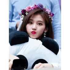 Картина по номерам Бруталити TWICE Kpop Sana 36 на холсте 40x30