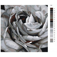 Картина по номерам BRUSHES-PAINTS Роза T467 40x40 см Картина по номерам BRUSHES-PAINTS Роза T467 40x40 см