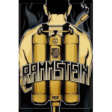 Живопись по номерам Бруталити Музыка Rammstein Тиль Линдеманн - 6346 В