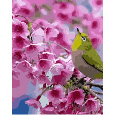 Картина по номерам Colibri Маленькая птичка
