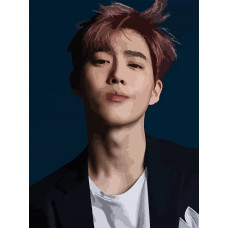 Картина по номерам Бруталити Музыка KPOP Exo 6083 В на холсте 30x40