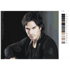 Живопись по номерам BRUSHES-PAINTS Иэн Сомерхолдер-Деймон. Дневники Вампира.