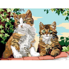 Картина по номерам Цветной Котята на заборе, 30x40