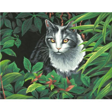 Картина по номерам Dimensions Кот-исследователь, 28x36