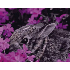 Картина по номерам Paintboy (Premium) «Зайка», VA-0449