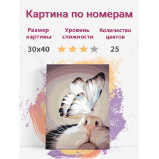 Картина по номерам Раскрасим сами Бабочка на носу на подрамнике 30х40 см