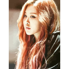 Живопись по номерам Бруталити BLACKPINK Kpop Rose - 965