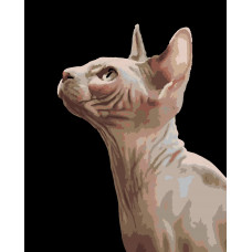 Картина по номерам 40х50 Сфинкс. Кот и кошка. Котенок