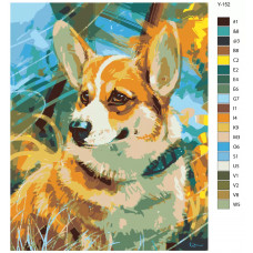 Картина по номерам BRUSHES-PAINTS Вельш-корги пемброк Собака Y152 40x50 см Картина по номерам BRUSHES-PAINTS Вельш-корги пемброк Собака Y152 40x50 см