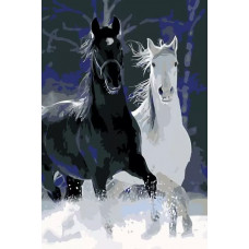 Живопись по номерам Живопись по Номерам Чёрная и белая, 60x40