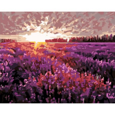 Картина по номерам Живопись по Номерам Поле на закате, 40x50