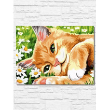 Картина по номерам Бруталити Котик на лугу 9384 Г на холсте 30 x 40