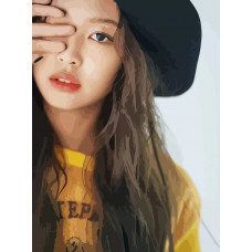 Картина по номерам Бруталити BLACKPINK Kpop jennie 31 на холсте 40x30