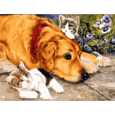 Картина по номерам Color Kit Защитник, 40x50