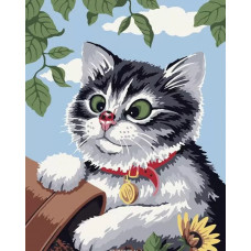 Картина по номерам Colibri Малыш котик