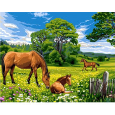 Картина по номерам Paintboy Солнечный луг, 30x40 см