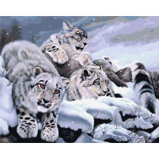 Картина по номерам Артвентура Снежные барсы, 40x50 см