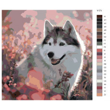 Живопись по номерам BRUSHES-PAINTS Сибирский хаски в полевых цветах. Собака