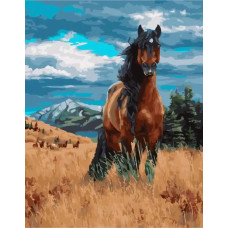 Живопись по номерам Paintboy Степной конь 40x50