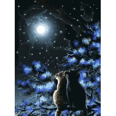 Картина по номерам Белоснежка Созвездия, 30x40