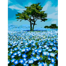 Картина по номерам Paintboy Красота полей, 40x50 см