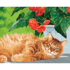 Картина по номерам Paintboy Рыжий пушистик, 40x50 см