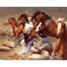 Картина по номерам Цветной Скакуны, 40x50 см