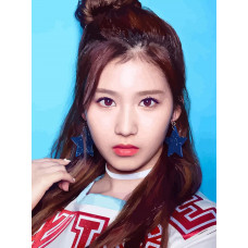 Картина по номерам Бруталити TWICE Kpop Sana 39 на холсте 40x30