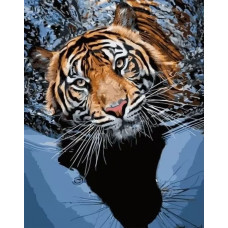 Картина по номерам  Paintboy (Premium) Тигр в воде