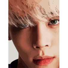 Живопись по номерам Бруталити Музыка KPOP SHINee Ким Джонхён - 6088 В