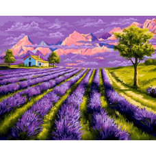 Картина по номерам Фрея В цвете лаванды, 40x50