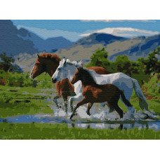Картина по номерам Molly Вольный ветер, 30x40