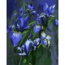 Картина по номерам Paintboy Ирисы, 40x50 см