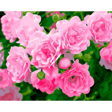 Картина по номерам Paintboy Свежесть роз, 40x50 см